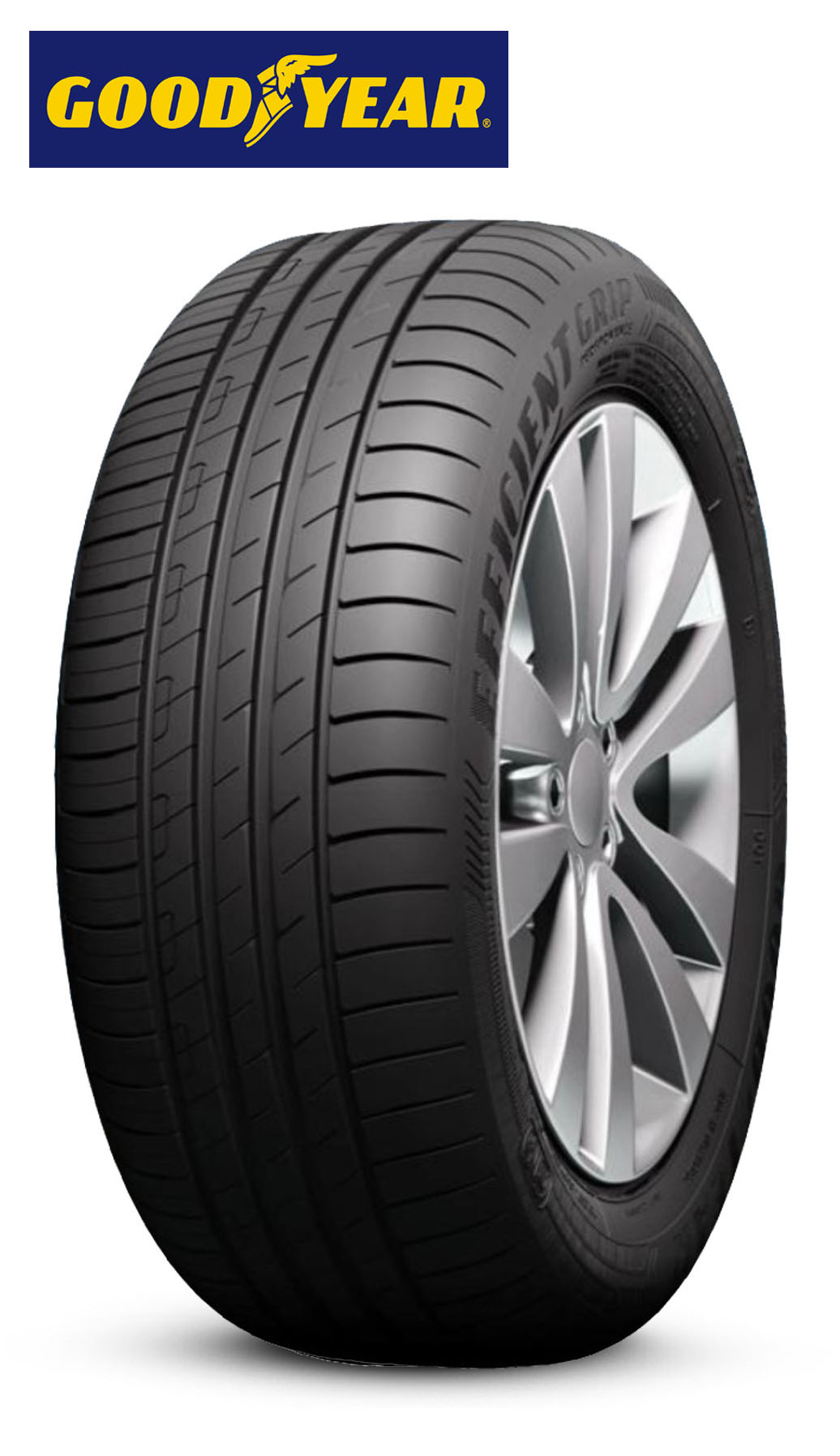 205/60R16 92H EFFIGRIP PERF